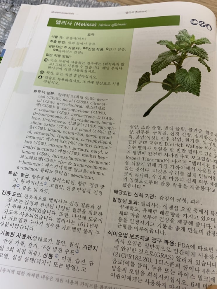  멜리사오일 리서치-IFA영국아로마테라피 워크북