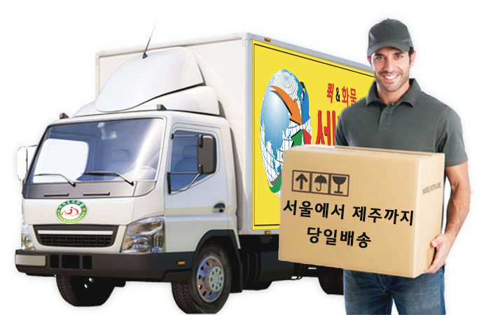  동두천퀵서비스 신속하고 정확하게