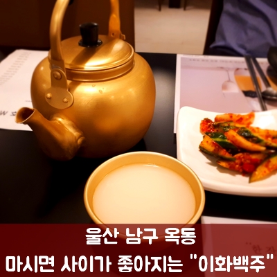  울산 옥동 이화백주, 막걸리 한잔!!