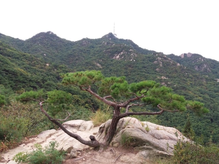  관악산 관악능선산행