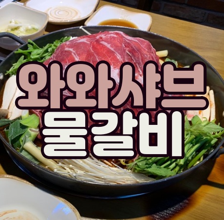 합정 회식 정말 푸짐한 와와샤브물갈비 볶음밥도 굿!!