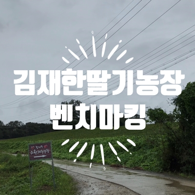  논산 킹스베리 체험농장, '김재한 딸기농장' 벤치마킹 다녀왔습니다!!