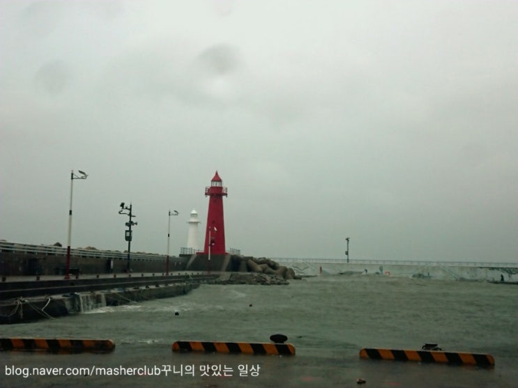 부산 태풍