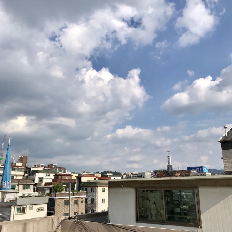  [나의하루] 190826 - 190901 9월에 쓰는 8월의 일상7