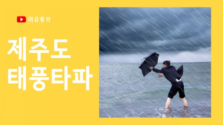 제17호 태풍 타파 영향 제주공항 결항 (제주도, 부산 위치)