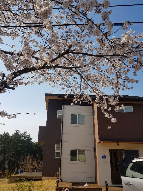  전원주택 설계 시 평면에 따른 건축 자재 소요량의 차이