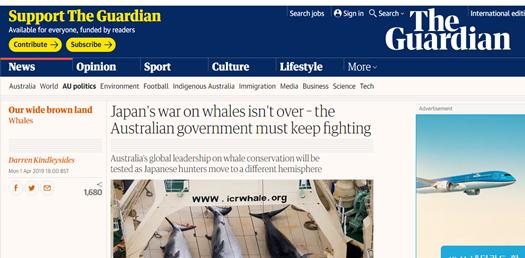 일본의 고래 전쟁은 끝나지 않았다 – 호주 정부는 계속 싸워야 한다