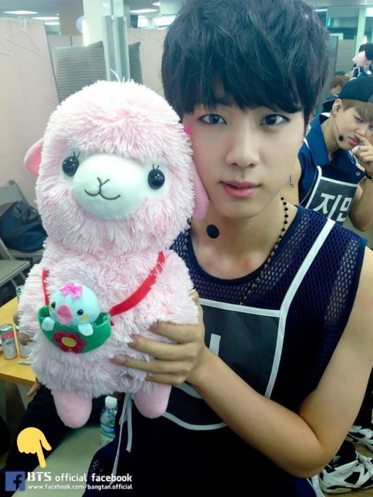  방탄소년단 진 | Pink Alpaca (A gift given by BTS Jin Fansite - JININDEYEO)