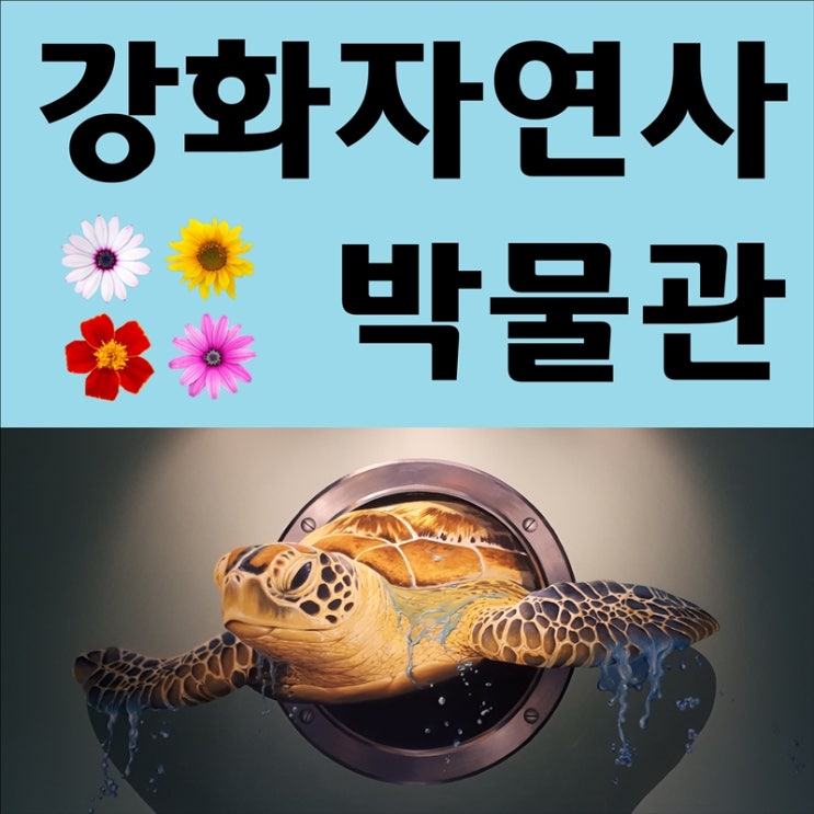  강화도 아이와 가볼만한곳 강화자연사박물관 무료로 다녀왔어요