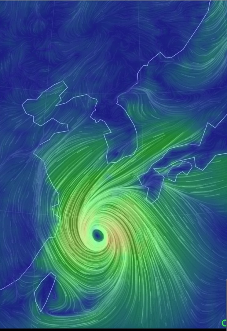 태풍타파 17호태풍 바람과 비소리에  나가  볼 수가없네요