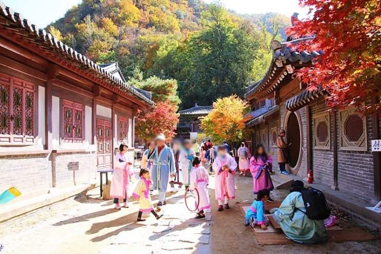  단양 온달문화축제, 가볼만한 충북 가을축제 속으로