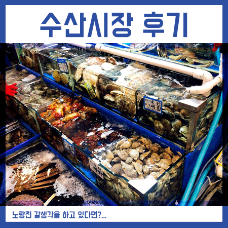  노량진수산시장 가는법 및 가격 후기 [다신 안가려구요~]