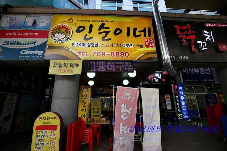  서현역 혼밥식당 친근한 기사식당스타일 밥집 인순이네(4)