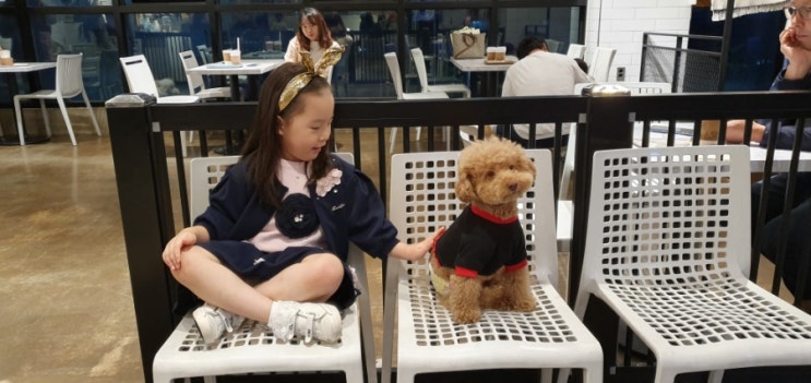  천안 애견카페 꽃분이네 남매방문후기