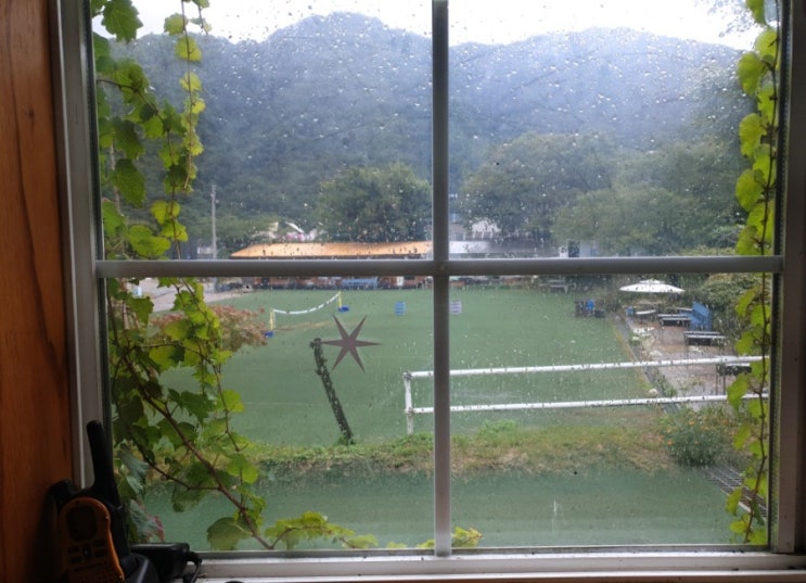  태풍 타파 동해안 이동중 무사히 지나가길 바랍니다