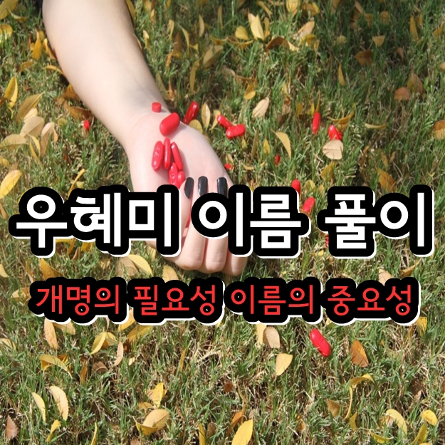 우혜미 다지음 이름 풀이 - 리쌍 개리 소속사 양반스네이션 신곡 뮤직비디오 준비 중에... 우혜미 다지음 이름 풀이 - 리쌍 개리 소속사 양반스네이션 신곡 뮤직비디오 준비 중에...