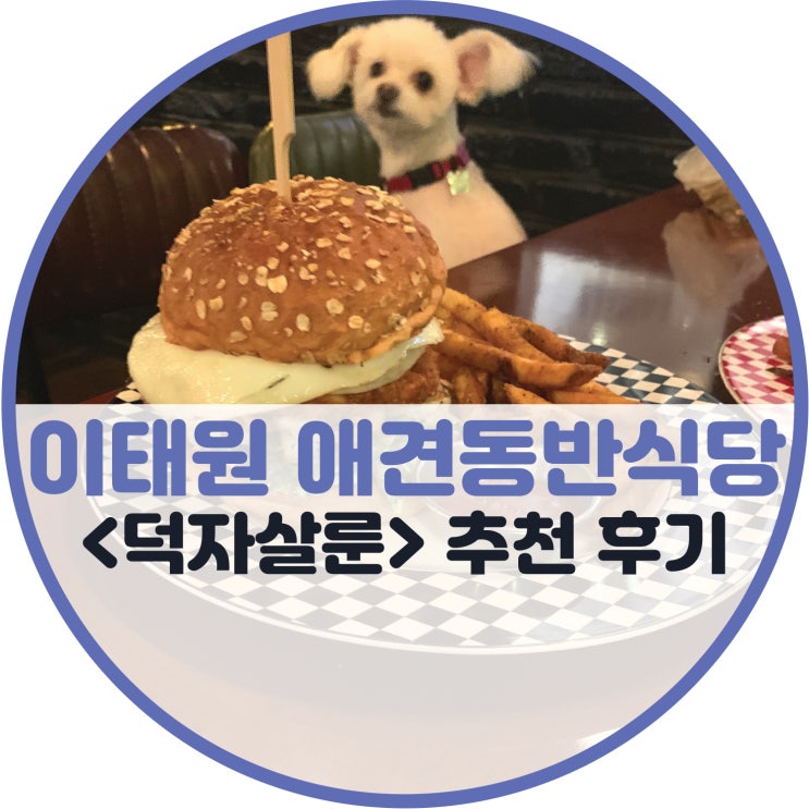 이태원 애견동반식당 <덕자살룬> 추천후기