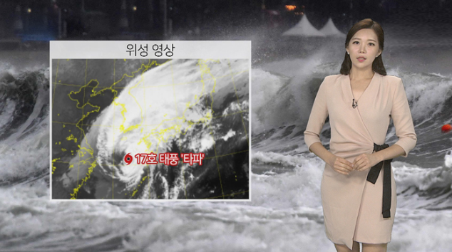 부산 중고차 매매 원파크 태풍 타파가 불어도 연중무휴
