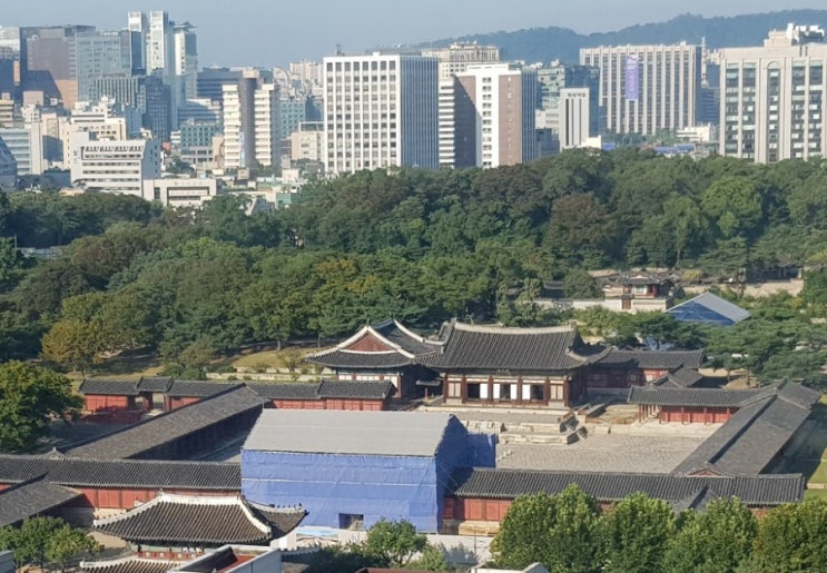  [저를 팔고 싶습니다! 인간극장 맞습니까?] 아픈 가족 팔아서 강의하고 돈 버냐구요? 맞습니다! 제 몸뚱이라도 팔아서 병원비 벌고 싶습니다.