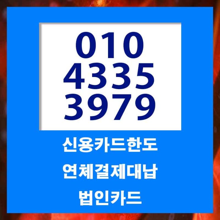  법인카드대납 대출 대전 부산 잔여 한도 업체 바로 도움되네요
