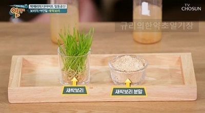 당뇨 간에좋은음식 / 해독다이어트 1등 공신! 새싹보리분말 효능 먹는법은?