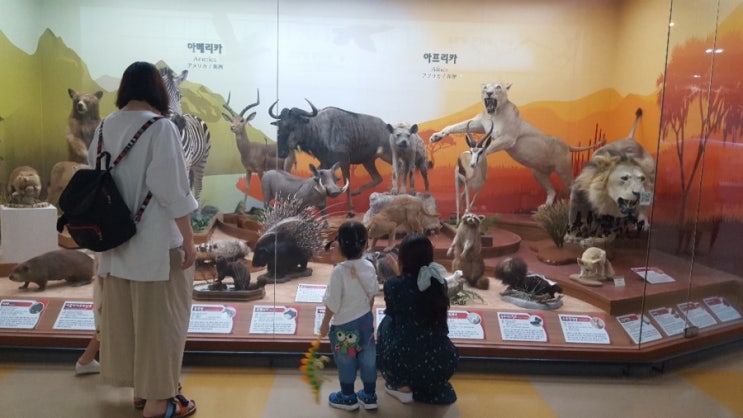  서대문자연사박물관 기획전 2019.08~15~2020.03-01일 아이랑 주말 가족 나들이 아이랑 가볼 만한 곳으로 추천해요!