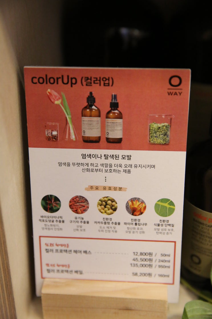  [오웨이 제품라인 안내] 컬러 업