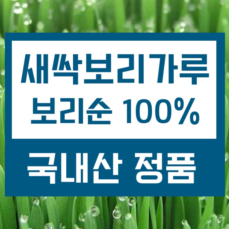  좋은 새싹보리분말 효능과 새삭보리 먹는법 적극 추천드려요 (보리싹분말)