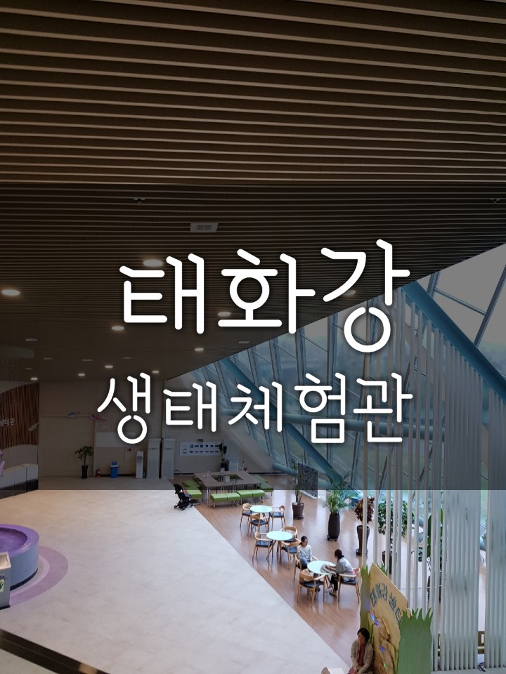 울산 나들이 울주군 번개맨 우주센터 + 태화강 생태관 이용방법 + 울산 맛집/ 태화강 맛집/ 청학동 칼국수 울산 나들이 울주군 번개맨 우주센터 + 태화강 생태관 이용방법 + 울산 맛집/ 태화강 맛집/ 청학동 칼국수