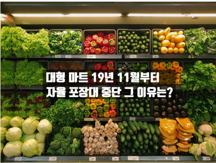  이거 알지? 대형마트 종이박스 자율 포장대 중단 소식!