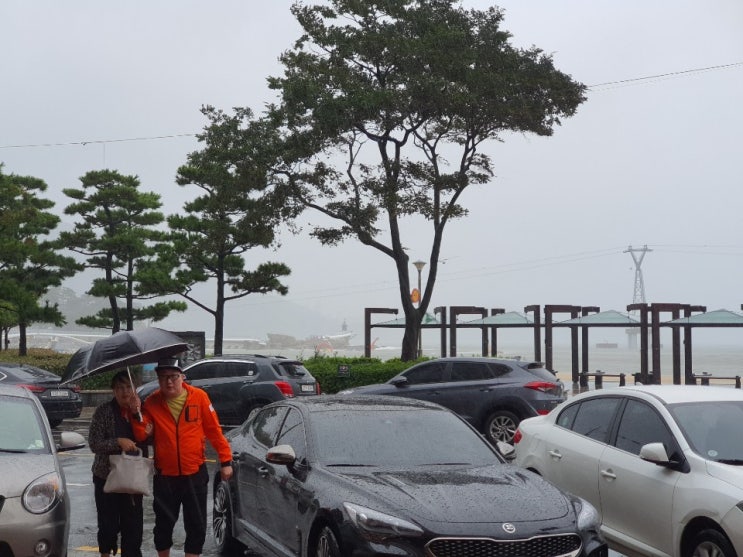  양산백바지의 17호 태풍 타파 올때 ..송도 해수욕장에서 성난파도 즐기기..