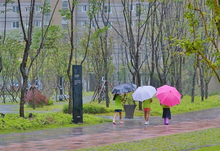  링링의 태풍속에서 
