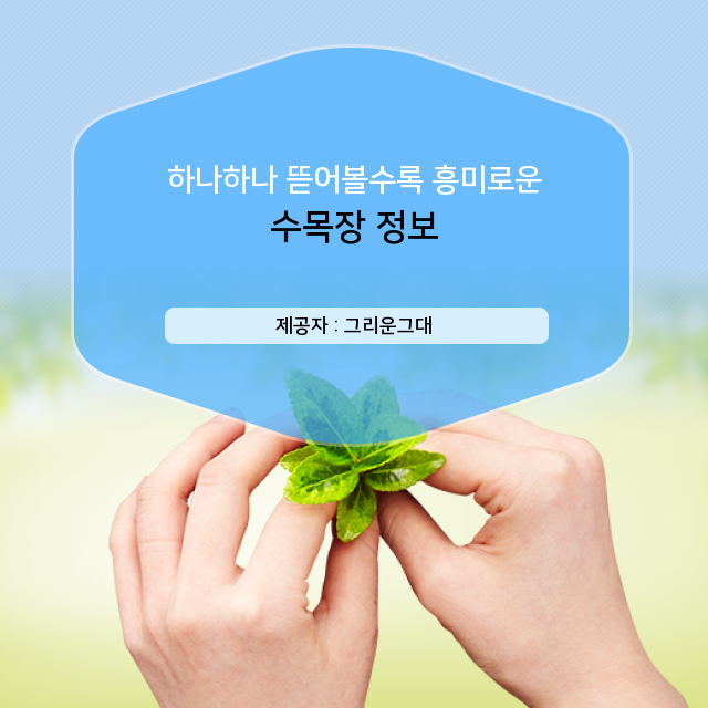  인천수목장 나를 위한 지식 쌓기, 수목장 관련 상식