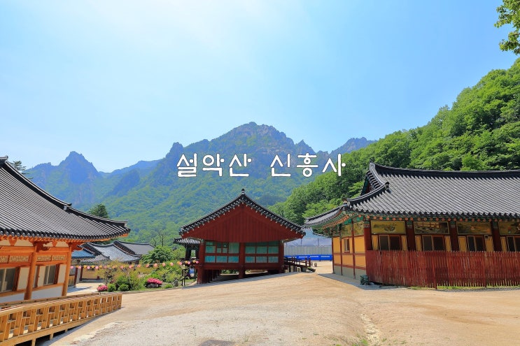  설악산 신흥사