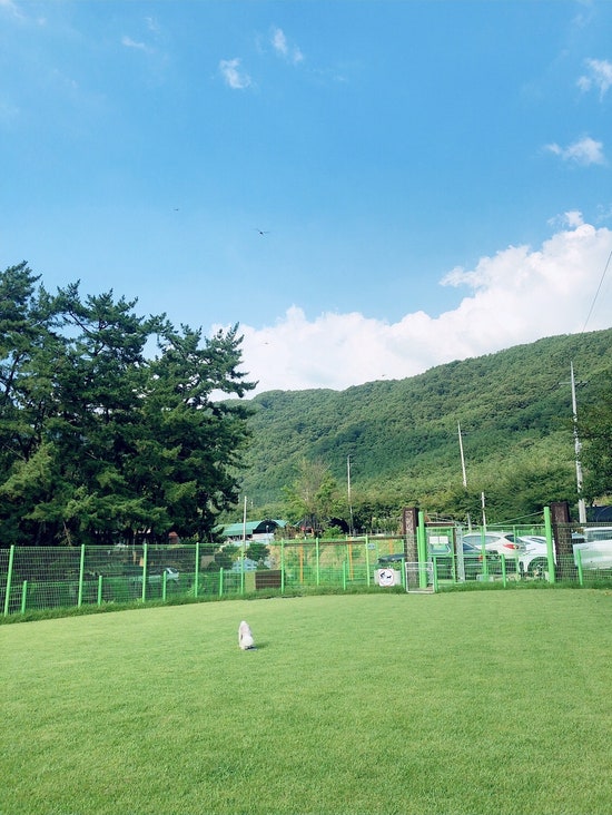 사진 5
