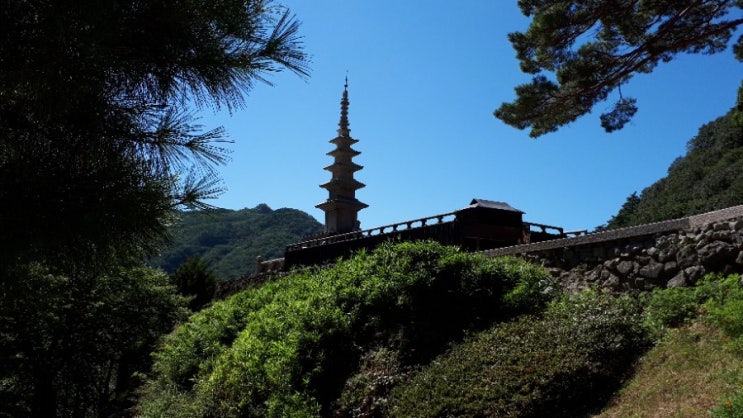  가인 장사익의 별빛나들이가 열리는 청량산청량사