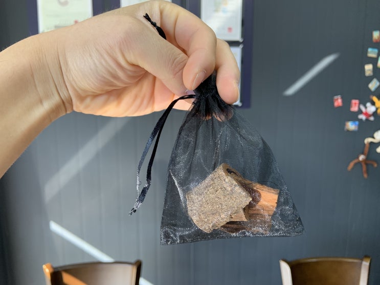 계피 (시나몬) 너는 어떤 효능이 있니?