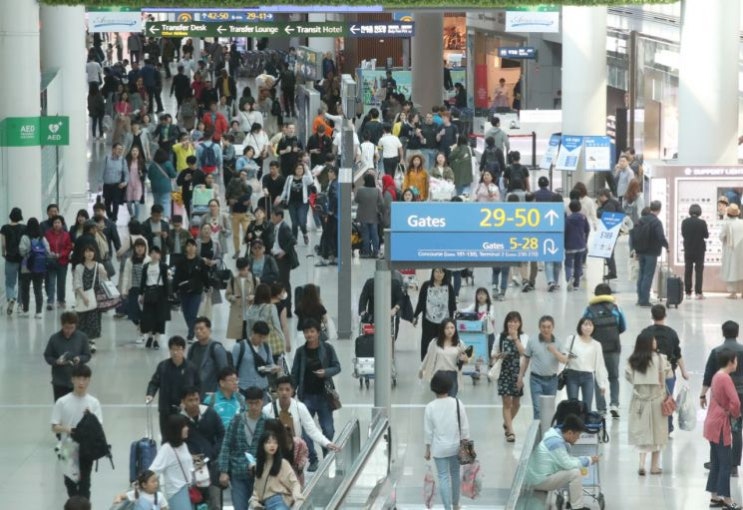 '공짜' 여행자보험, 사고때 보상 어디까지? '공짜' 여행자보험, 사고때 보상 어디까지?