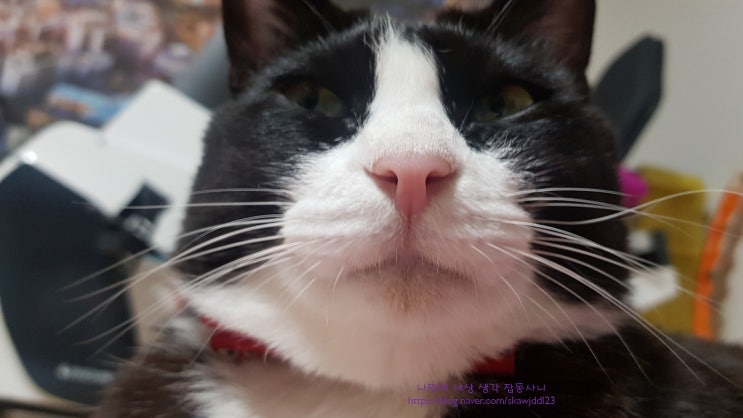  지난주 나의 일상 끄적끄적