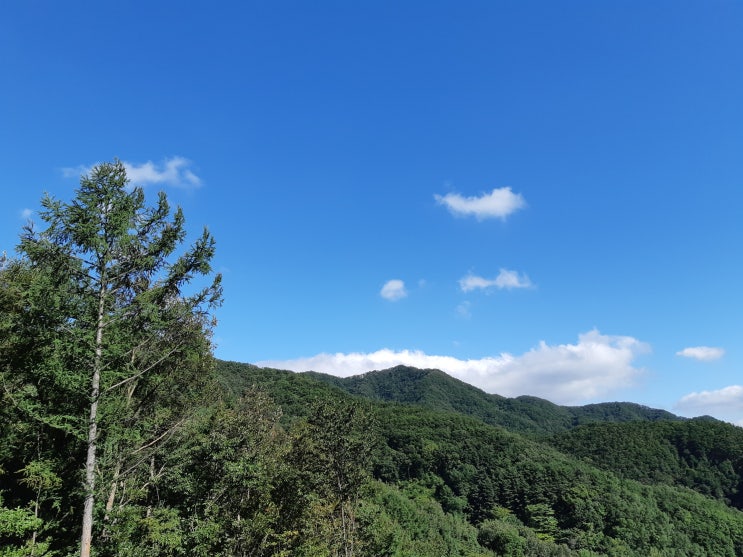  전용면적 500평~1,800평 임대가능 서울 강북 역세권 주차굿 병의원(모든과가능),사옥,웨딩홀,교회등 다용도