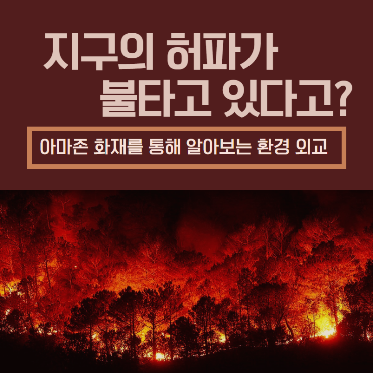  지구의 허파가 불타고 있다고?-아마존 화재를 통해 알아보는 환경 외교