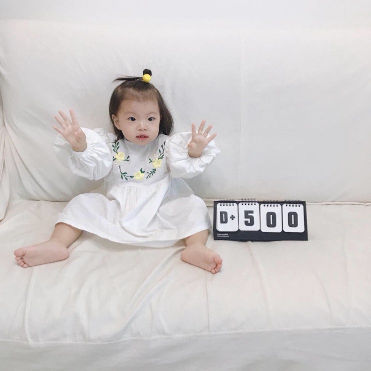  9월 셋째주 : 여권사진, 너의500일, 두번째 키즈카페 밤비플린, 새우구이계절이왔다, 태풍날 결혼식, 추억의 오징어버거