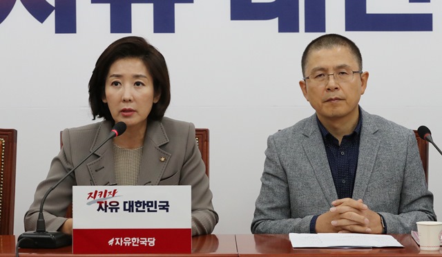  나경원 “원정 출산, 가짜뉴스...특검하자”