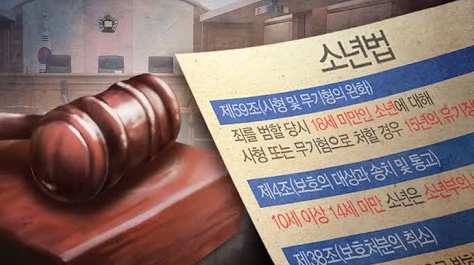  소년법과 청소년법 [봉천역애견호텔 서울개입구]