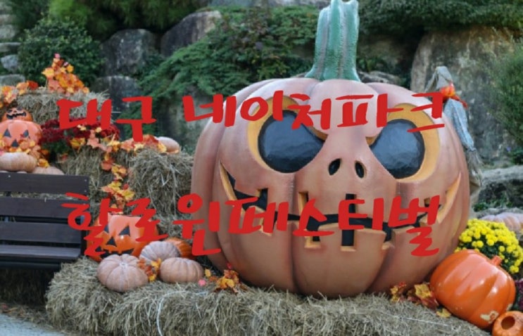  가창네이처파크 할로윈페스티벌 가요