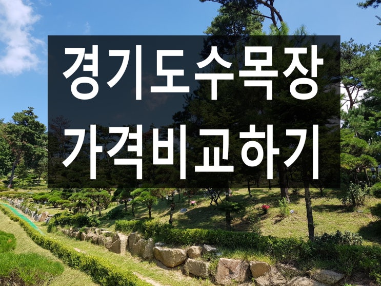  경기도 수목장 가격비교 해볼까요.