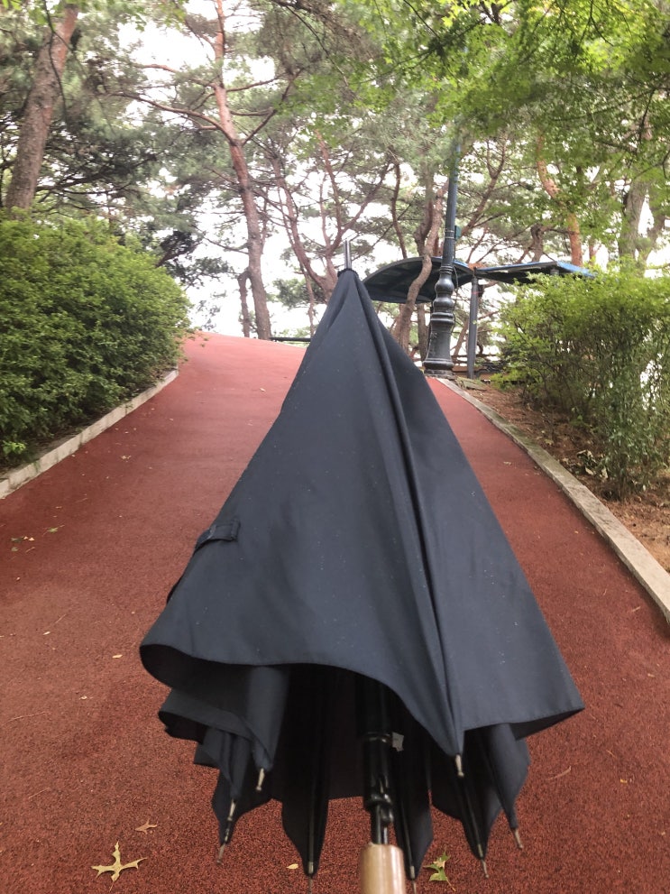 만보걷기 20일차 : 우산을 들고 걷기!