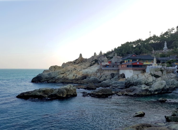  송정역 근처 수제맥주 양조장 와일드웨이브 / 기장 해동용궁사