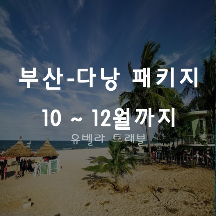  [부산출발] 다낭 3박5일 패키지 자유여행 10월 11월 12월 에어부산