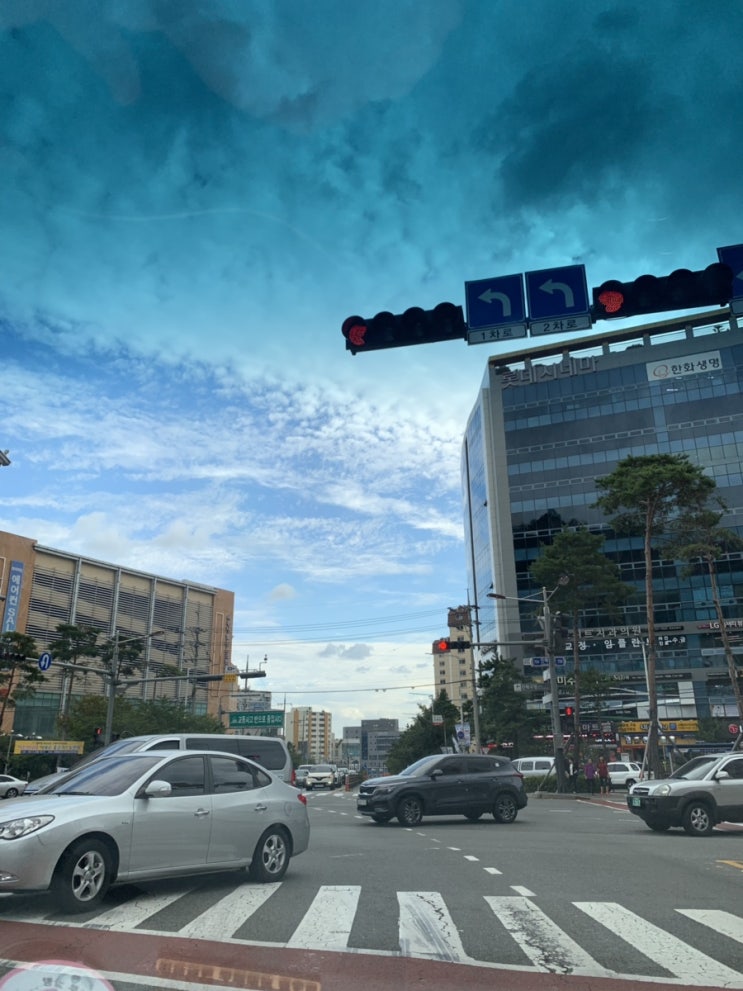  9월일상 / 가로수길 맛집 팔라로사/블친만남/ 결혼한지 벌써 2년/